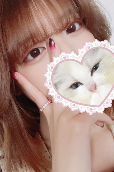 ねこ       さんの写真